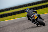 PJ-Motorsport-2019;anglesey-no-limits-trackday;anglesey-photographs;anglesey-trackday-photographs;enduro-digital-images;event-digital-images;eventdigitalimages;no-limits-trackdays;peter-wileman-photography;racing-digital-images;trac-mon;trackday-digital-images;trackday-photos;ty-croes